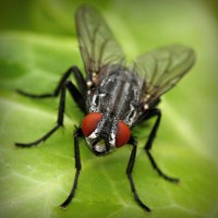 /album/escortajans/photolia-a01-jpg/