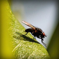 /album/escortajans/photolia-a04-jpg/