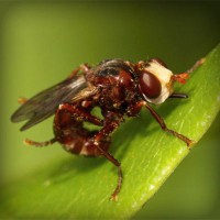 /album/escortajans/photolia-a06-jpg/